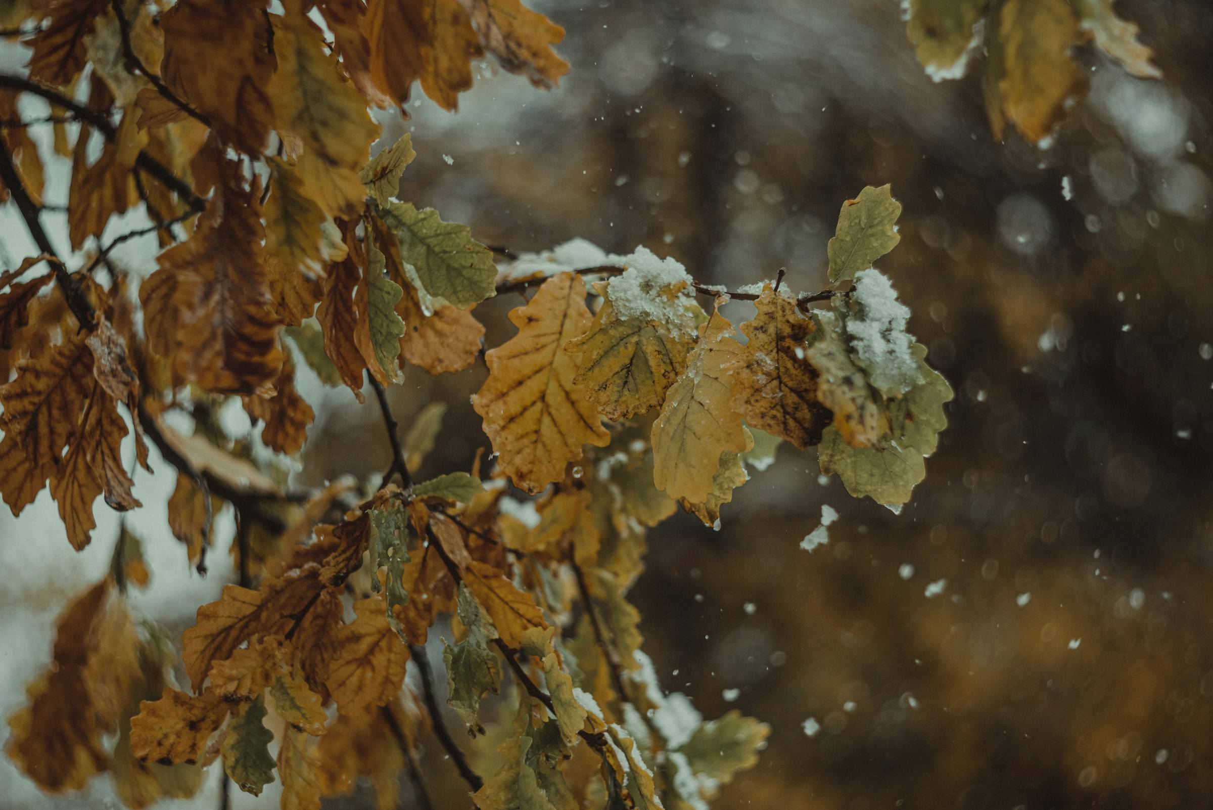 Vasilina sirotina wmbvmhiglr0 unsplash%20(4) - Default alt attribute.